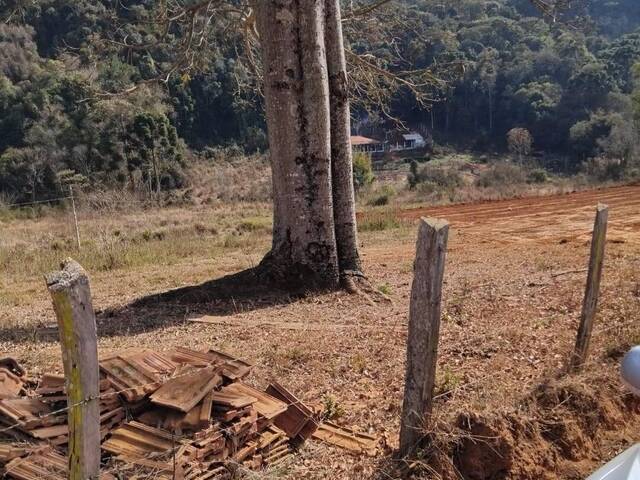 #7 - Chácara para Venda em Campestre - MG