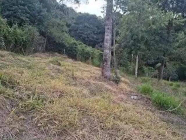 #32 - Chácara para Venda em Poços de Caldas - MG