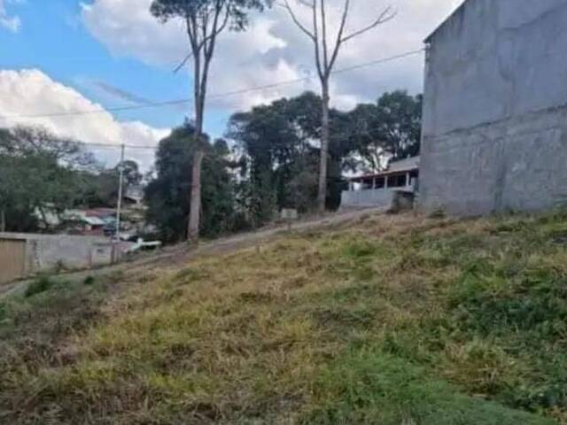 #32 - Chácara para Venda em Poços de Caldas - MG